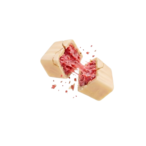 Berry-OH! chocolate bite